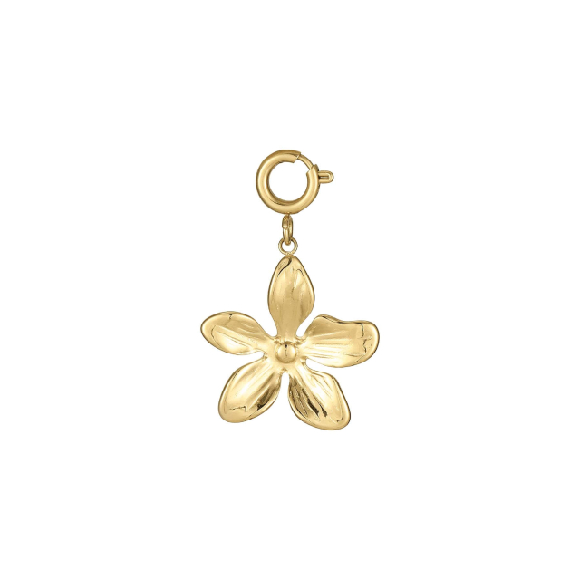 Large choix de Charm  de bijoux en acier, de montres et de sacs à main sur luzaka.com. Charm Floria acier doré or  - Réf : 10577