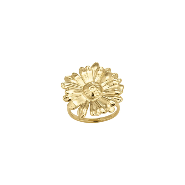Large choix de Bague de bijoux en acier