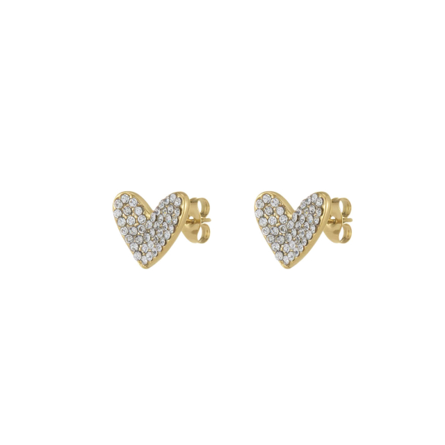 Large choix de Boucles d'oreilles  de bijoux en acier