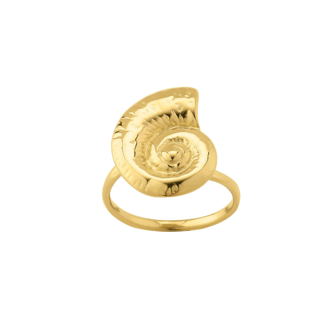 bague galapagos acier doré or : Découvrez la nouvelle collection de bijoux pour femme en acier à prix accéssibles Ref 11648