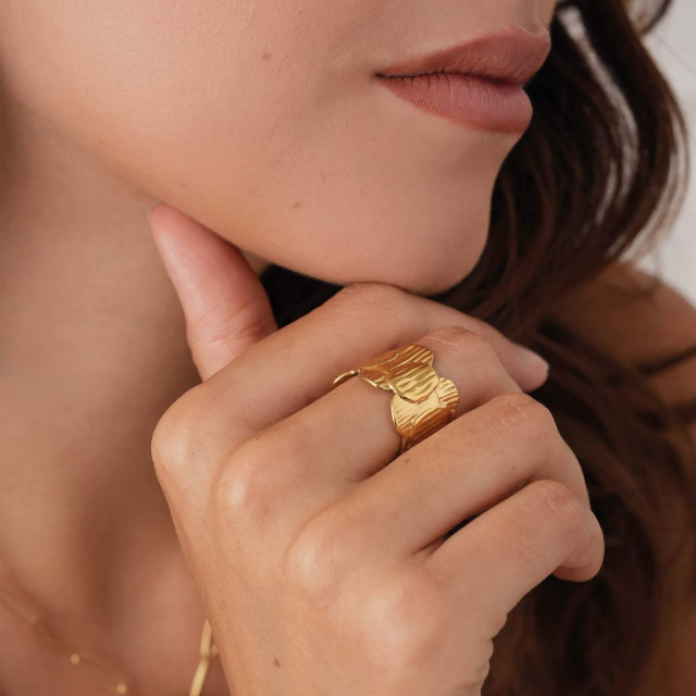 Bague Ruby acier DO