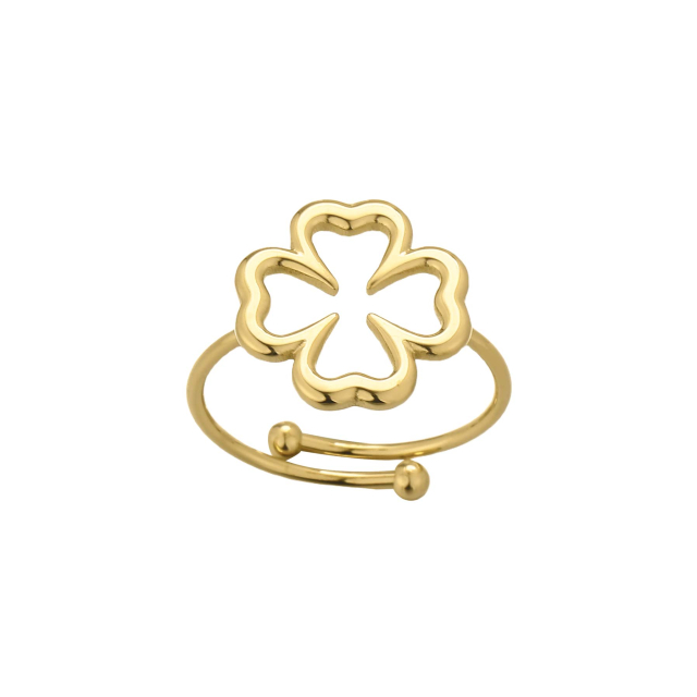Bague Evy acier doré or