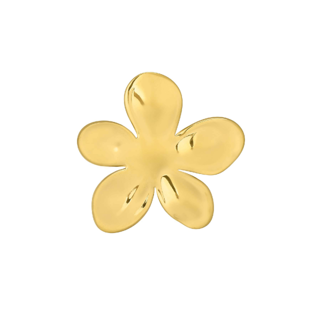 Broche Victoria acier doré or
