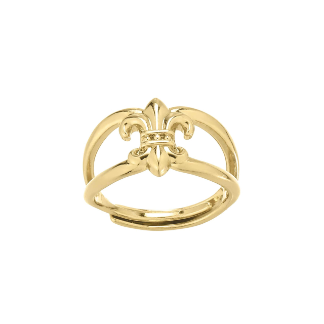 Bague Isabella acier doré or