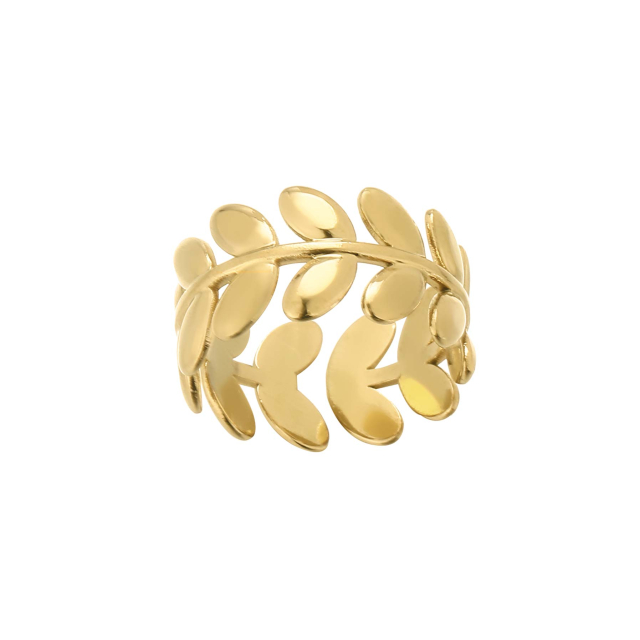 Bague Kory acier doré or