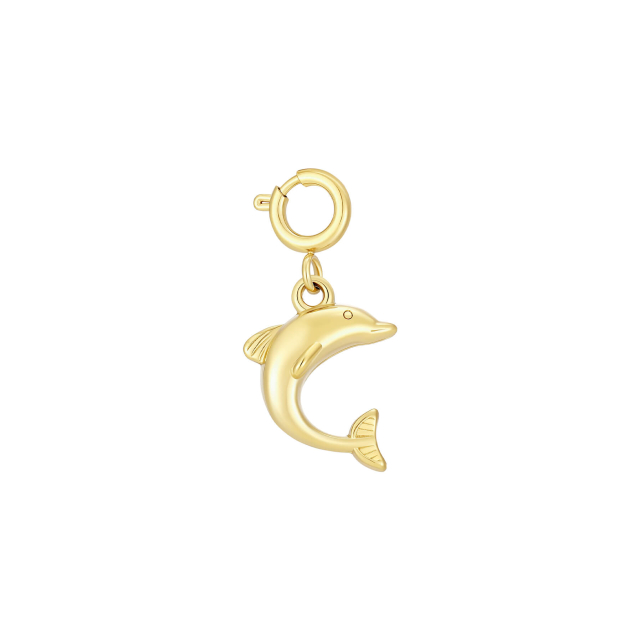 Charm Dauphin acier doré or