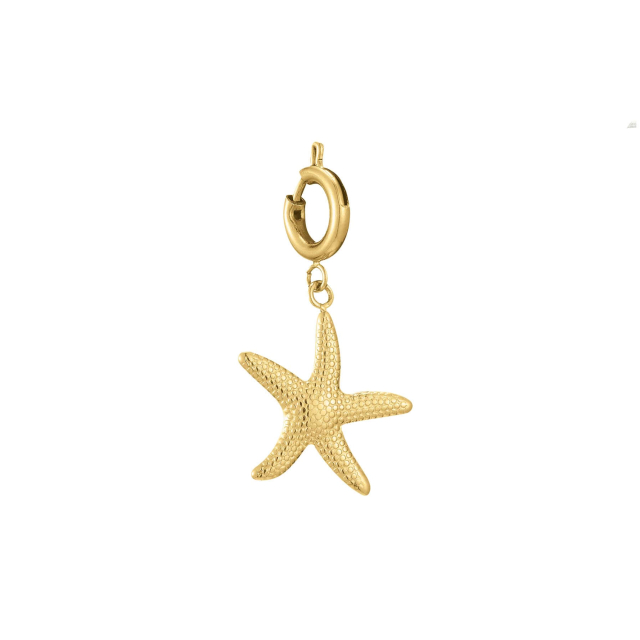 Charm étoile de mer acier doré or: Trouver les plus beaux bijoux femme de la saison